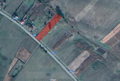 Teren intravilan cu CF - Salistea Veche - 7