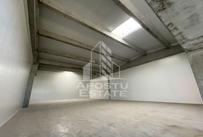 Spațiu industrial, 1046 mp în Sânandrei