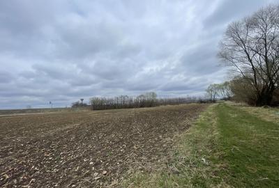 TEREN INTRAVILAN | 50 ARI | ZONA PERIFERICA RADAUTI - 5