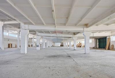 Spațiu industrial 4.4Ha Teren și 15.000mpc - Zona Industrială - Hârlău - 4