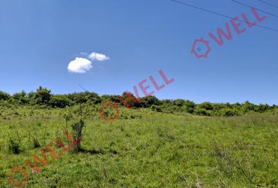 De vânzare teren intravilan de 30 000 m² (3 ha) în Reghin - 3