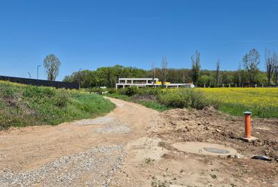 Ciolpani, spre Izvorani - COR, vanzare teren 5000mp. - 14