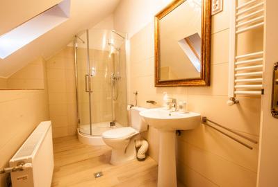 Apartament tip vila 295 mp utili, regim S+P+M, ideal birouri, clinica, avocatura - 10