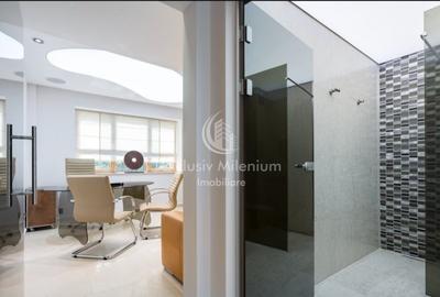 Vila Clinica /Salon de infrumusetare Lacul Tei  /Parcul Circului birouri - 17