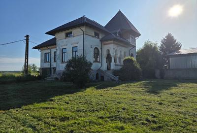Judetul Prahova, in Poienarii Burchii, conac neoromanesc si teren 2.800 mp - 11