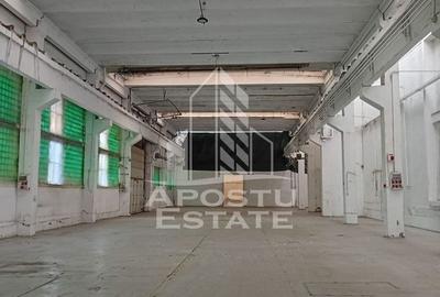 Hala Industriala, Sanicolau Mic