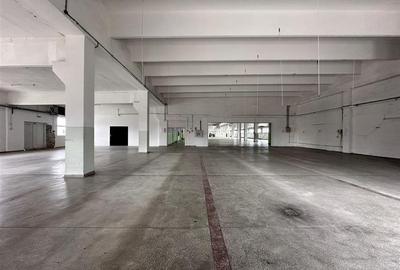 Hala/ spatiu comercial Pascani, 1500mp - 17