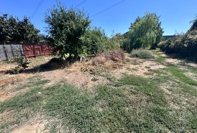 Casa individuala P+1+M amplasata pe un teren de 1200 mp. - 50