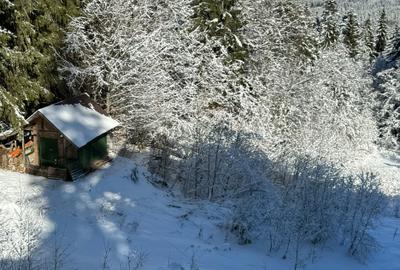 Teren Cioplea Predeal - 5