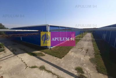 Spatiu Logistic langa Bucuresti Hala 5000 mp - 45