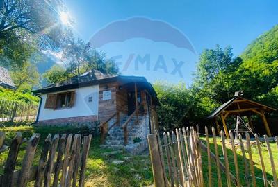 Casă de vacanță deosebită cu ciubăr si saună - natura si relaxare - 56