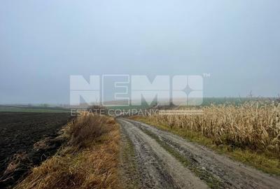TEREN EXTRAVILAN | DOUA PARCELE 2.84 HA| DARMANESTI - 13