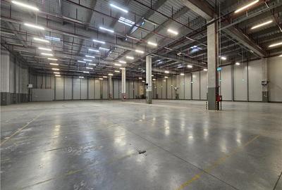 Spatiu Industrial - 3000 mp - Logistica - Productie - Depozitare - 6