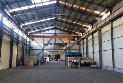 DEPOZIT LOGISTIC GHIMBAV - 3700 MP CU POD RULANT - 4