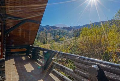CASA INCONJURATA DE NATURA | DIN BUSTENI | 8 CAMERE | TIMISUL DE JOS - 38