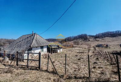 Vand teren intravilan Stejaru Bacau - 2