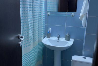 Apartament 2 camere , cartier rezidential , Tătărași , Loc de parcare inclus - 11