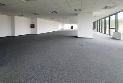 Spațiu office premium în Centrul Civic | 360 mp - 6