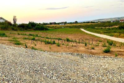 Teren Panoramic Superb, Paleu, Intravilan, 600-685mp - 2