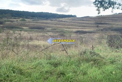 Teren intravilan de vanzare 1248 mp d=15 mTeleac cu utilitati panorama deosebita - 1