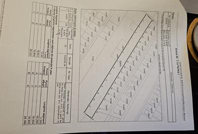 Teren intravilan situat in Orasul Berceni - 3