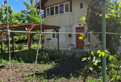 Breaza-casa renovata cu livada pe rod - 6