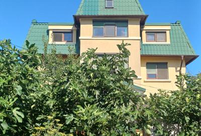 Vanzare  casa D+P+1+M - 1