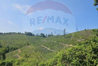 Teren agricol extravilan de 210000 mp, în Pleșcuța