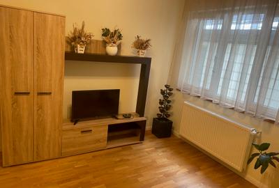 Unirii-Ienechita Vacarescu 2 Camere Vila - 1