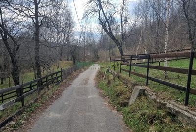 Teren de vanzare in Valea Doftanei 7000 mp - intravilan - 3