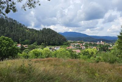 Teren Construcții intravilan de 850 mp, în Turcheș