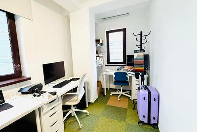 Birouri private, spatii creative in vila de lux, zona ultracentrala | Dorobanti - 24