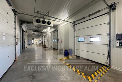Spatiu industrial frigorific | 1200 mp | 8 m inaltime | 6000 mp teren - 4