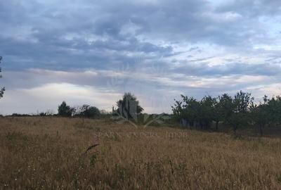 Teren Construcții intravilan de 2930 mp, în Păulești