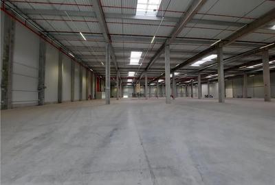 Spatiu Industrial - 3500 mp - Logistica - Productie - Depozitare - Distributie - 14