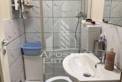 Casa individuala cu 193 mp utili in Timisoara - 11