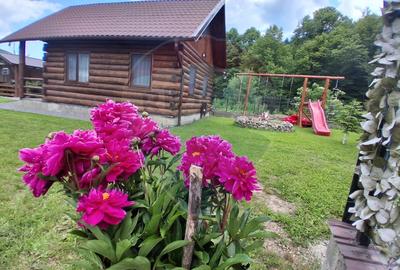 Refugiu în natură, Cătrușa Covasna – cabană cu potențial turistic - 5