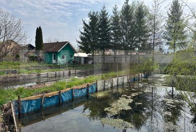 Investitie: Casa cu teren constructii si pastravarie - Prejmer, Brasov - 2