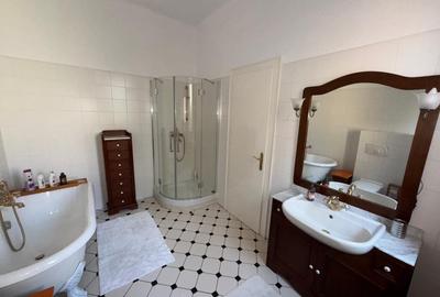 Spatios pentru  locuit si afacere - 1