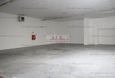 Spatiu Comercial / Depozitare Refrigerate / Birouri - 1