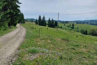 De vânzare! Parcele în Piatra Fântânele, BN, pe Drumul Romanilor, locația OPCIOA - 8