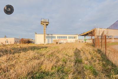 Hala industriala de vânzare – Bod, Brasov - 2