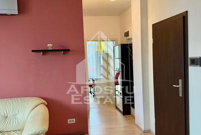Apartament 3 camere, centrala proprie, Timisoara, Girocului - 8