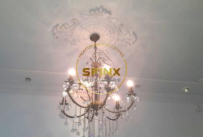 Vanzare zona Armeneasca,Casa eclectica sec XX,curte individuala,3 niveluri 295mp - 5