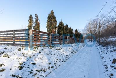 Casă cu Spațiu Comercial in Neamț - 41