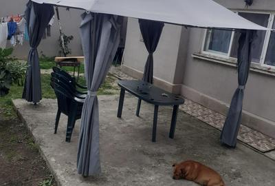 Casă cu 5 camere în Central