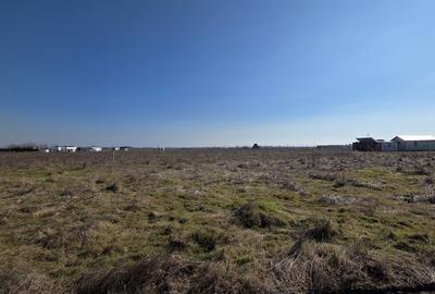 Teren intravilan 555 mp in Corbu, ideal pentru investitie - 5