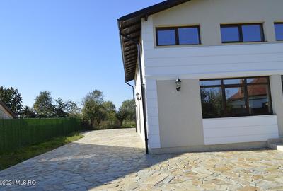 Calinesti - Gorganu, casa cu 2 intrari, teren 2496 mp! - 38