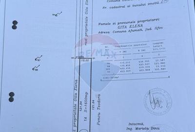 Teren intravilan 1.650 mp cu deschidere la Lacul Pasărea și la drum - 2