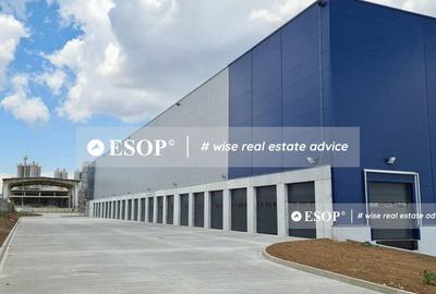 Logicor Pantelimon, spatii industriale, 2.200 - 25.000mp, 0% comision - 6